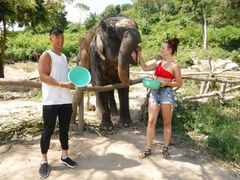 Elephant-Care-2