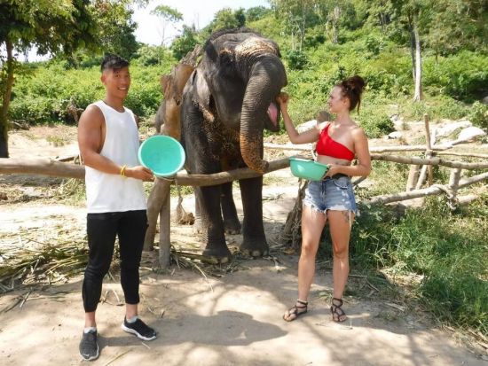 エレファントケアツアー　象のお世話をしながら触れ合える貴重な体験！＜ホテル送迎付／英語ドライバー＞