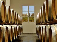 France, Vinyard Wine Barrels