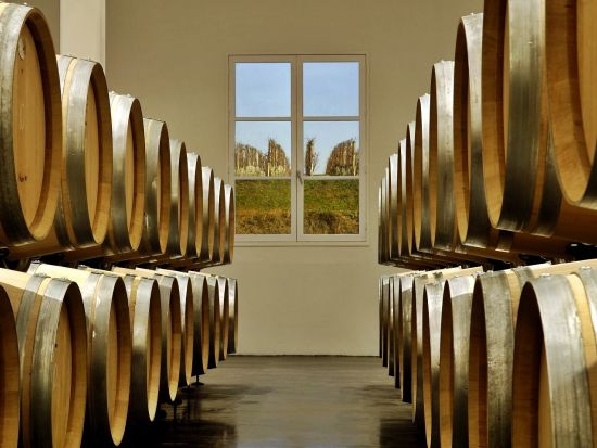 ボルドー メドック地区ワインツアー　2軒のシャトーを訪問＜試飲付き／英語ドライバーガイド／ボルドー発＞