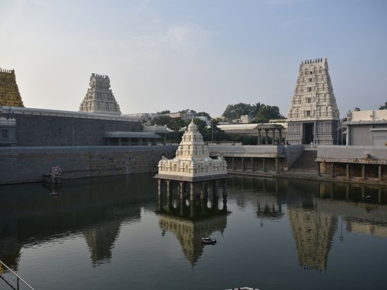 shutterstock_1244872774