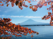 紅葉富士山