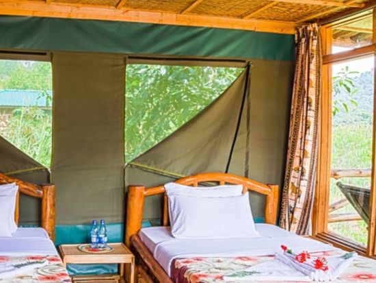 野生のマウンテンゴリラを目撃！ブウィンディ原生国立公園3泊4日宿泊付ゴリラトレッキングツアー＜英語ガイド／エンテベ空港発＞