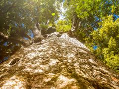 shutterstock_550992241 (1)