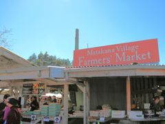 IMG_1452_edited2
