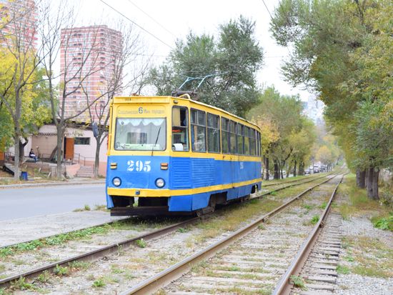 shutterstock_1242164536