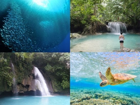 癒しの絶景スポット！エメラルドグリーンのカワサンフォール滝トレッキングツアー　ウミガメ＆イワシの大群シュノーケル付きプランあり＜日本語ガイド／昼食付＞  