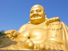 shutterstock_101048221-crop