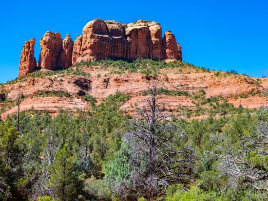 セドナ 4大ボルテックス半日観光ツアー　ベルロック＆ボイトンキャニオン＆カセドラルロック＆エアポートメサ ＜日本語ガイド＞