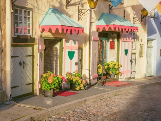 ヘルシンキからフェリーで行く！エストニア・タリン 日帰りプライベートツアー｜雑貨巡り又は歴史探訪＜往復フェリーチケット込み／昼食付／日本語ガイド＞