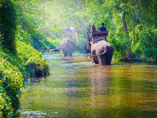 Thailand_Chiang_Mai_Elephant_Ride_Trekking_Jungle_Safari_shutterstock_474048352