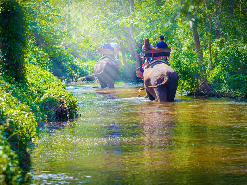 Thailand_Chiang_Mai_Elephant_Ride_Trekking_Jungle_Safari_shutterstock_474048352