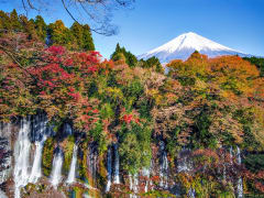 Jpapn_Shizuoka_Shiraito_Falls_autumn_leaf_in_Fujinomiya_shutterstock_685498582
