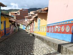 IMG_0202