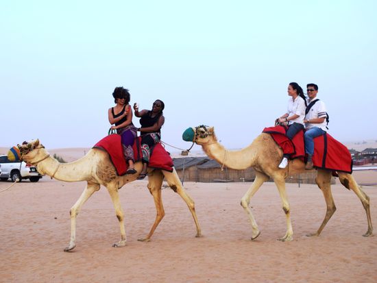 Camel_Ride (1)