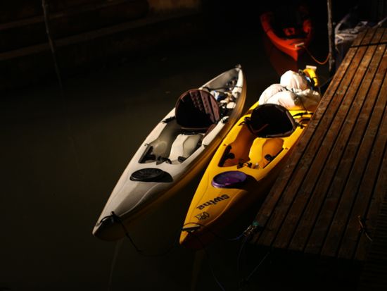 繝翫う繝医ヤ繧｢繝ｼ (2)