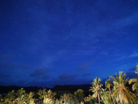 繝翫う繝医ヤ繧｢繝ｼ (4)