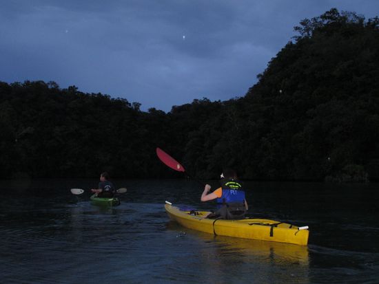繝翫う繝医ヤ繧｢繝ｼ (1) - コピー