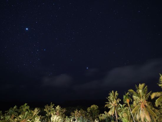 繝翫う繝医ヤ繧｢繝ｼ (3)