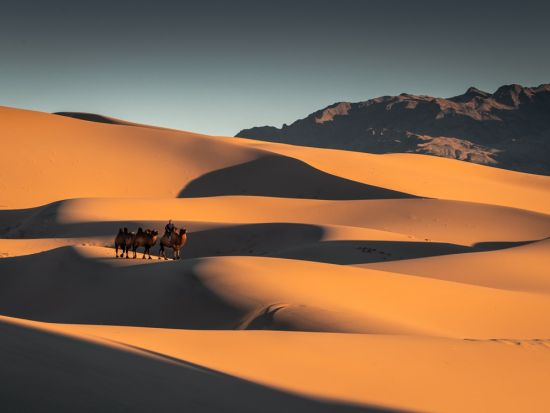 【5泊6日 or 6泊7日・6～9月限定】南ゴビ砂漠周遊プライベートツアー テレルジ＆モルツォグ砂丘＜国内線込み／日本語ガイド／チンギスハーン国際空港発着＞