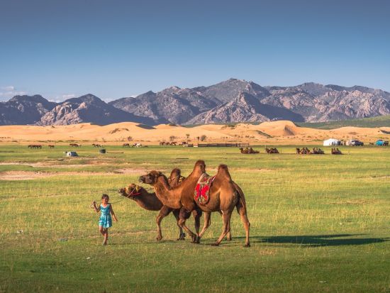 【5泊6日 or 6泊7日・6～9月限定】南ゴビ砂漠周遊プライベートツアー テレルジ＆モルツォグ砂丘＜国内線込み／日本語ガイド／チンギスハーン国際空港発着＞