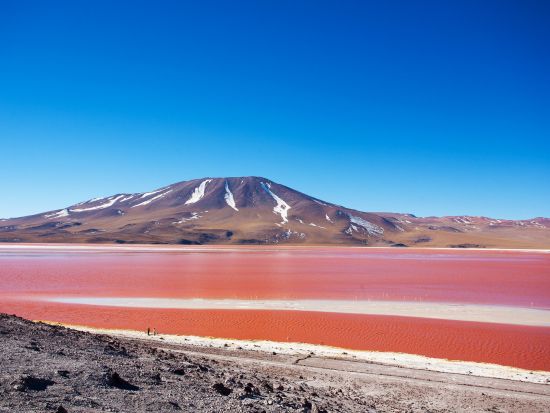 ウユニ塩湖＆ボリビアの景勝地巡り2泊3日観光ツアー＜貸切／朝食／昼食／英語ガイドorスペイン語ガイド／ウユニ発＞