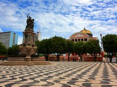 Take a tour of the colorful Manaus