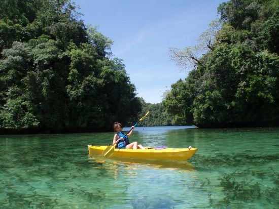 ジェリーフィッシュレイク＆ミルキーウェイ　シーカヤックとシュノーケル体験つきの1日ツアー＜昼食／送迎付き＞by IMPAC TOURS