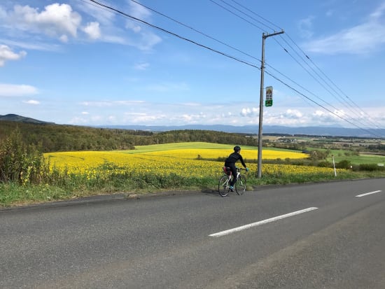 【ロードバイク／サイクリング】四季それぞれの色彩を楽しむパレットの丘コース 15～30km・60km＜札幌市内送迎／千歳市＞by SAN