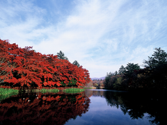 雲場池秋①