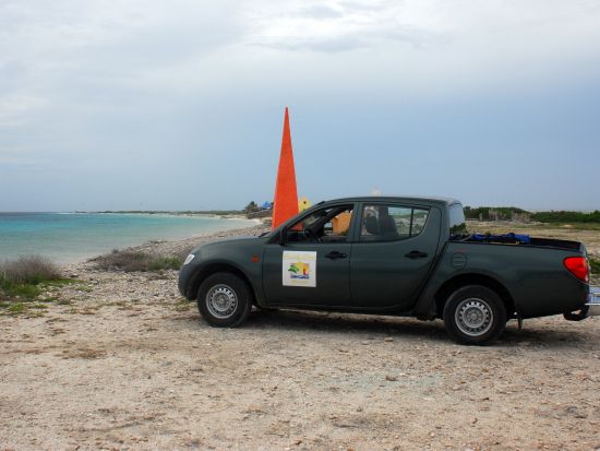 ボネール　ノース＆サウスツアー＜英語ガイド/ボネール発＞