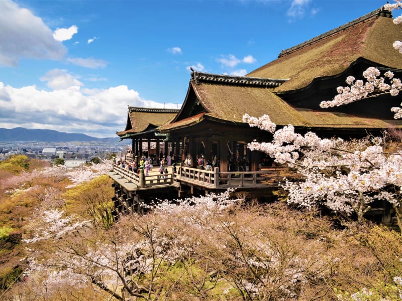 Go Toトラベル 伏見稲荷大社 清水寺 金閣寺 嵐山バスツアー 昼食 拝観付きプランあり 梅田 難波 京都発 21年3月 By 神姫観光 Limon 大阪の観光 遊び 体験 レジャー専門予約サイト Veltra ベルトラ