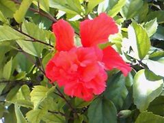 20121120062915_1013633924_0