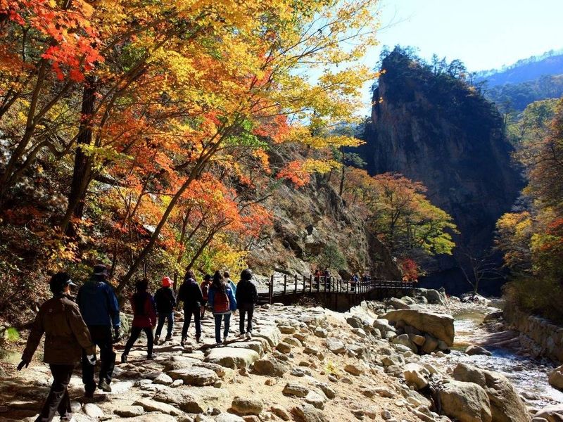 Mt. Seorak Tour from Seoul