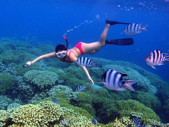 プライベートスキンダイビングコース　初心者大歓迎！お魚いっぱいの海でグアムの海を満喫してください。