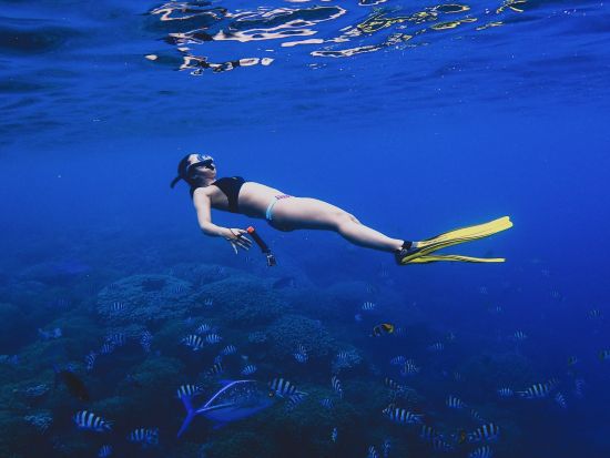プライベートスキンダイビングコース　初心者大歓迎！お魚いっぱいの海でグアムの海を満喫してください。