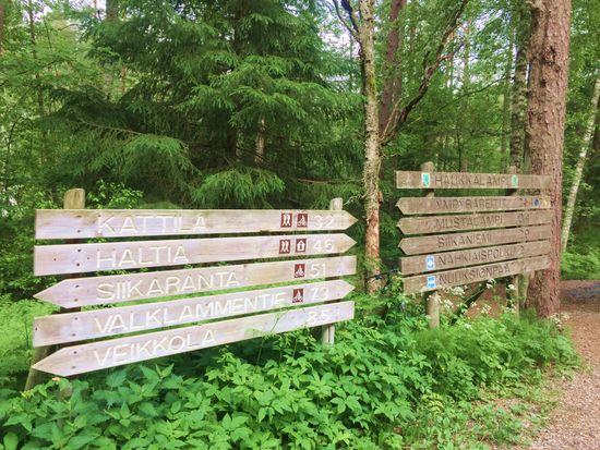 プライベート ヌークシオ国立公園 ショートウォーキングツアー 焚き火を囲んで軽食も 5 10月 英語 ヘルシンキ発 フィンランド フィンランド 旅行の観光 オプショナルツアー予約 Veltra ベルトラ プライベート ヌークシオ国立公園 ショートウォーキングツアー 焚き火を囲んで軽食も 5 10月 英語 ヘルシンキ発 フィンランド フィンランド 旅行の観光 オプショナルツアー予約 Veltra ベルトラ