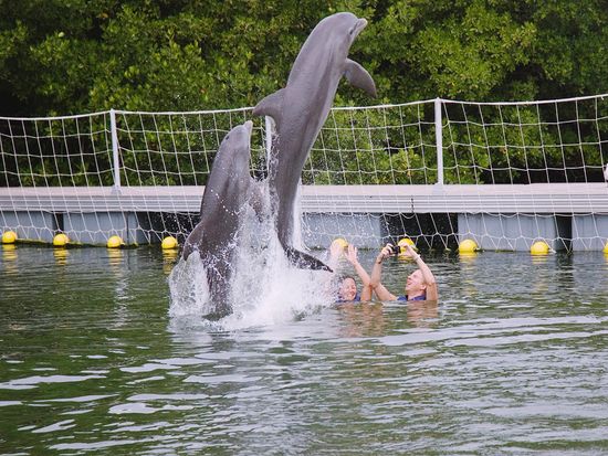 Cuba_Varadero_Dolphin Adventure