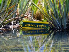 New_Zealand_Milford_Mirror_Lakes_shutterstock_775114753