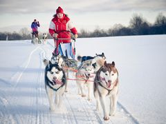 Dog Sleding_shutterstock_151371953