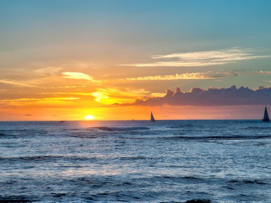 本格フレンチレストラン「ミッシェルズ・アット・ザ・コロニーサーフ」コースディナー＆タンタラスの丘夜景観賞ツアー＜夕＞