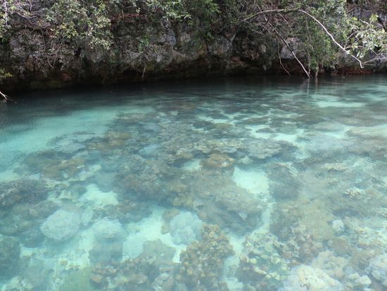 繧ｫ繝､繝・け繝ｻ繧ｫ繝後・ (4)_edited