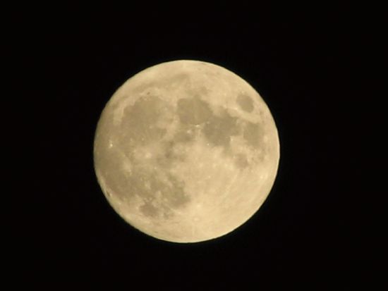 繝翫う繝医ヤ繧｢繝ｼ (5)