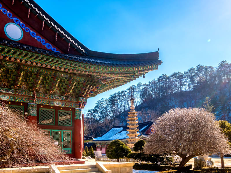 Jinbu-myeon Woljeongsa Buddhist Temple 2-Day Visit