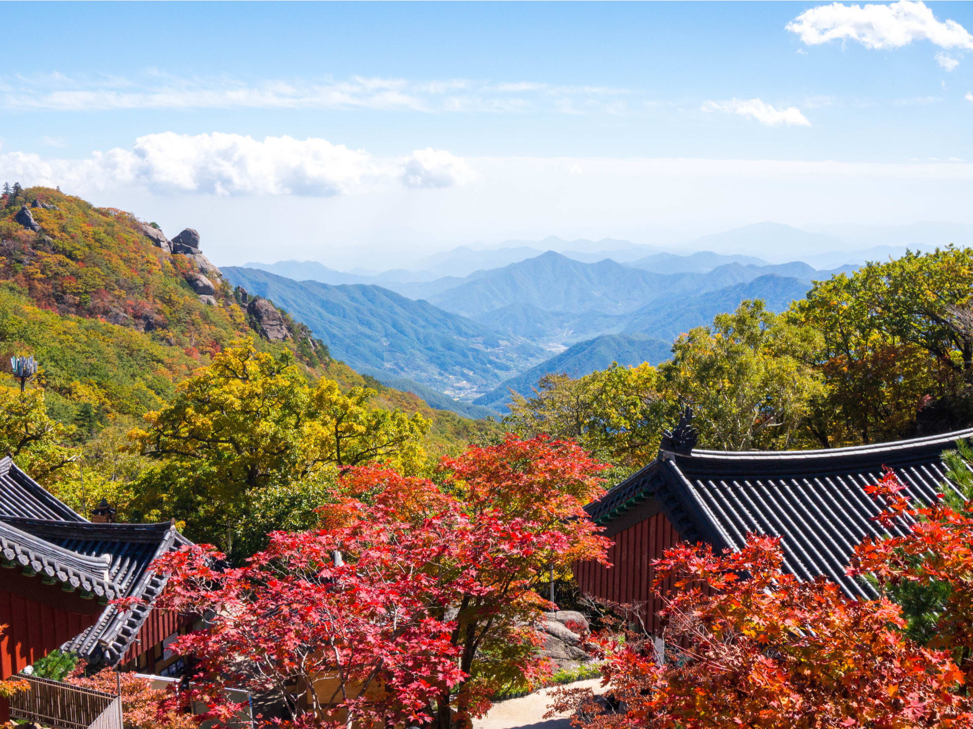 Autumn Jirisan National Park Day Trip From Busan With Baemsagol Valley Visit Tours Activities Fun Things To Do In Busan Korea Veltra