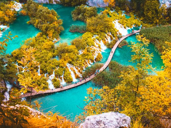 shutterstock_1221435952