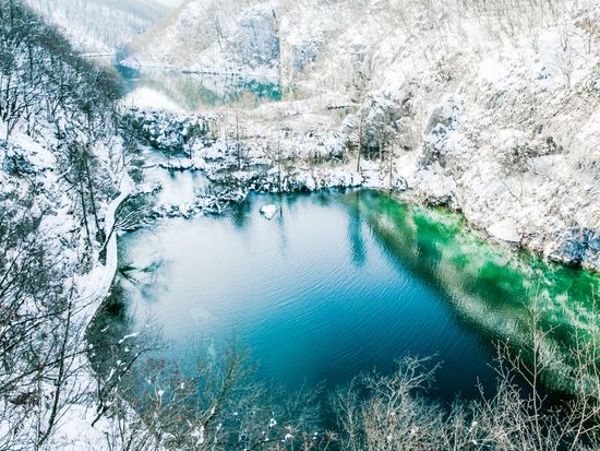 shutterstock_1274547640