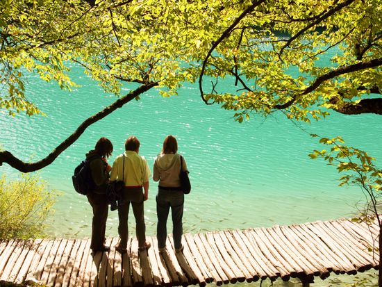 shutterstock_2367940