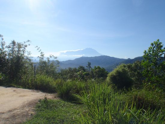 【コタキナバル発】聖ベロニカの丘ハイキング＆伝説の吊り橋渡りツアー<午前／軽食付き／日本語ガイド> 