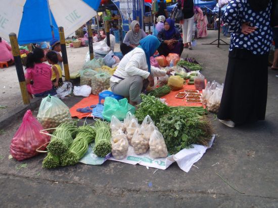 【コタキナバル発】聖ベロニカの丘ハイキング＆伝説の吊り橋渡りツアー<午前／軽食付き／日本語ガイド> 
